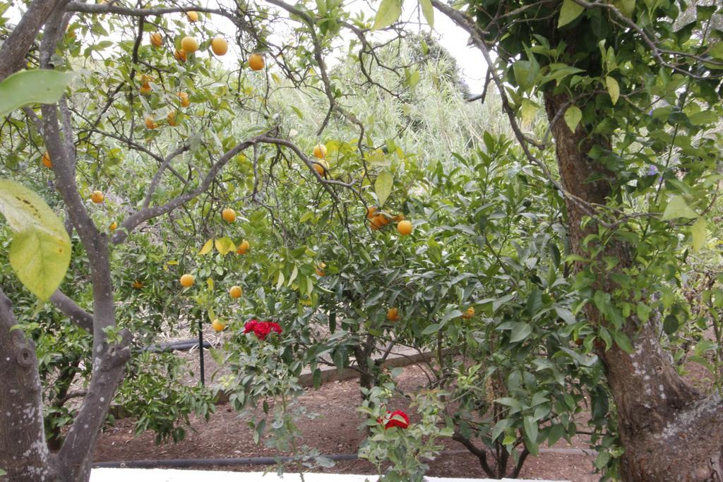 Vila Sodre Guest House Silves Luaran gambar